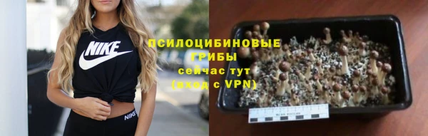 ALPHA-PVP Гусев