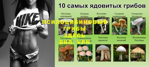 спиды Алексеевка